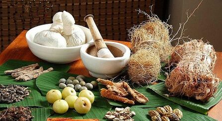Dana orang terhadap parasit di dalam badan