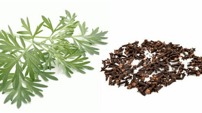 Nelken dan Wormwood untuk mengeluarkan parasit keluar dari badan