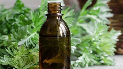 Penggunaan wormwood untuk mengeluarkan parasit dari badan