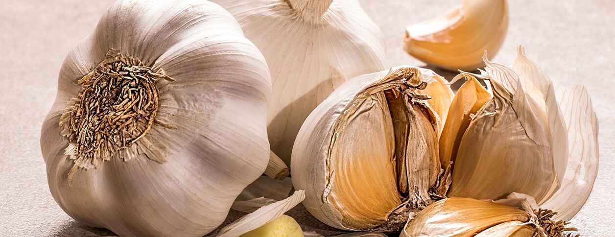 Bawang putih melawan cacing